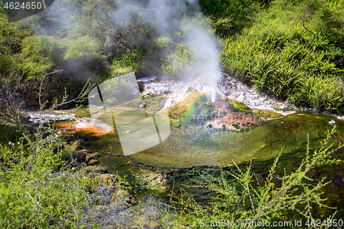 Image of volcanic activities at waimangu