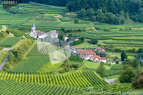 Image of landscape scenery in Breisgau Germany