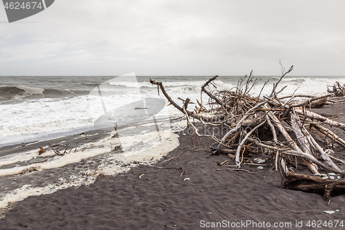 Image of jade beach Hokitika, New Zealand