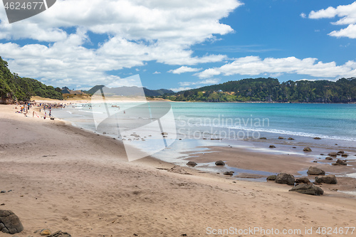 Image of hot springs beach New Zealand Coromandel