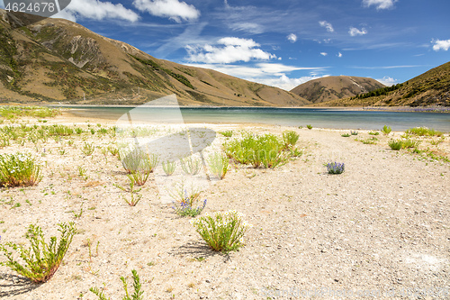 Image of Landscape scenery in south New Zealand