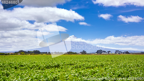 Image of volcano Taranaki covered in clouds, New Zealand 