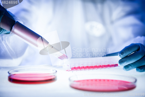 Image of Nurse holding test tube with blood for 2019-nCoV analyzing. Novel Chinese Coronavirus blood test Concept.