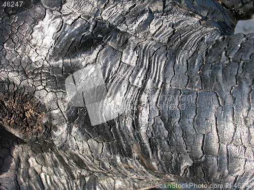 Image of Charcoal texture