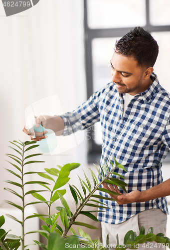 Image of indian man spraying houseplant with water at home