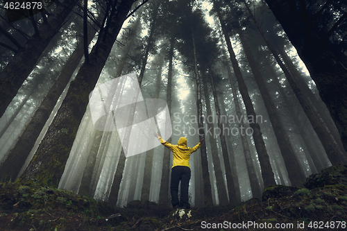 Image of Female enjoying the nature