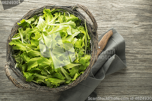 Image of Lettuce salad