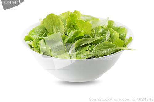 Image of Green lettuce salad