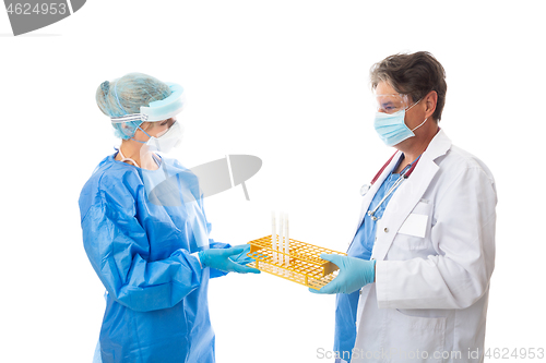 Image of Doctor hands a laboratory pathologist swabs for testing