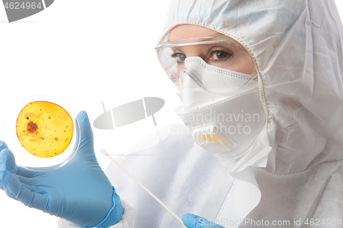 Image of Laboratory worker holding a culture plate with bacteria or virus