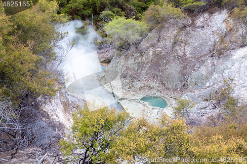 Image of geothermal activity at Rotorua in New Zealand