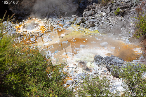Image of volcanic activities at waimangu