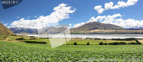 Image of Mountain Alps scenery in south New Zealand