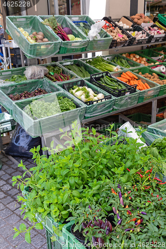 Image of Herbs Chillies Market