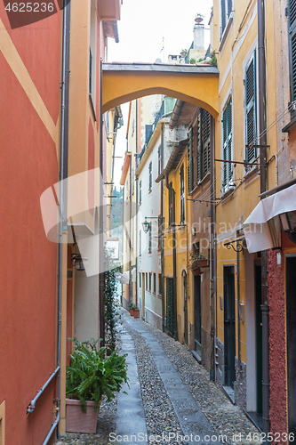 Image of Narrow Street Portofino