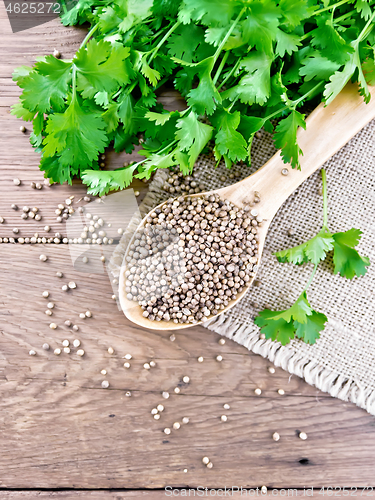 Image of Coriander seeds in wooden spoon on old board top