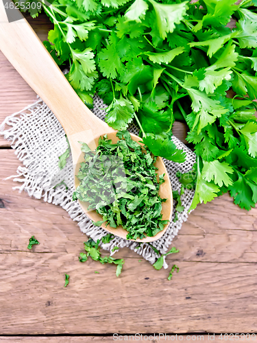 Image of Cilantro dried in spoon on board top