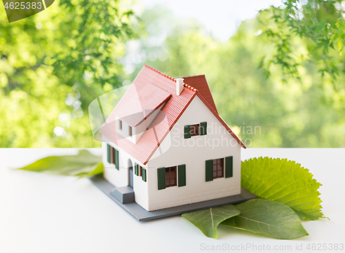 Image of close up of house model and green leaves