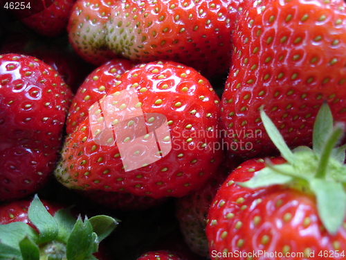 Image of strawberry