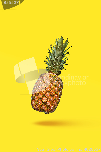 Image of Food composition of ripe pineapple and halved fruit on a blue ba