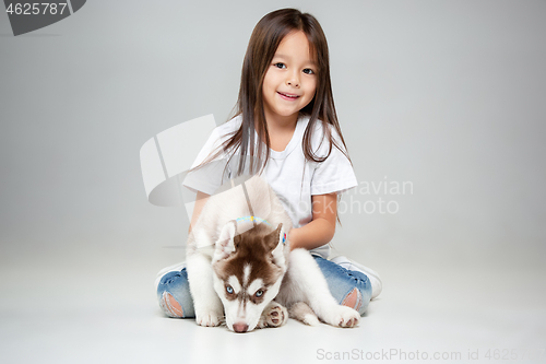 Image of Portrait of a joyful little girl having fun with siberian husky puppy on the floor at studio