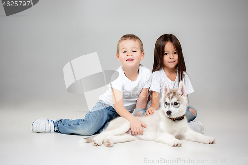 Image of Portrait of a joyful little girl and boy having fun with siberian husky puppy on the floor at studio