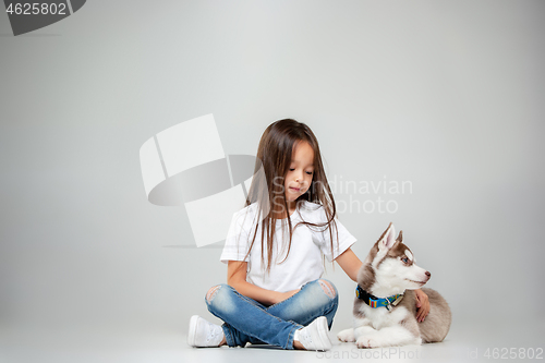 Image of Portrait of a joyful little girl having fun with siberian husky puppy on the floor at studio