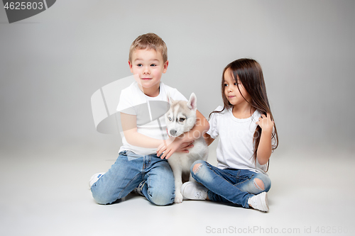 Image of Portrait of a joyful little girl and boy having fun with siberian husky puppy on the floor at studio