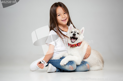 Image of Portrait of a joyful little girl having fun with siberian husky puppy on the floor at studio