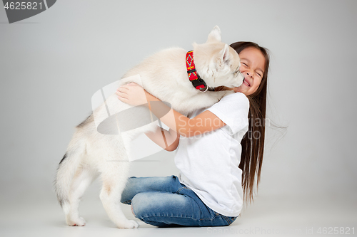 Image of Portrait of a joyful little girl having fun with siberian husky puppy on the floor at studio