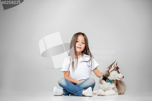 Image of Portrait of a joyful little girl having fun with siberian husky puppy on the floor at studio