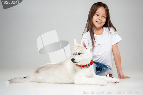 Image of Portrait of a joyful little girl having fun with siberian husky puppy on the floor at studio