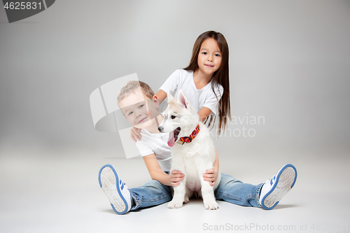 Image of Portrait of a joyful little girl and boy having fun with siberian husky puppy on the floor at studio