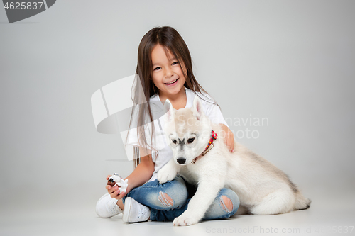 Image of Portrait of a joyful little girl having fun with siberian husky puppy on the floor at studio