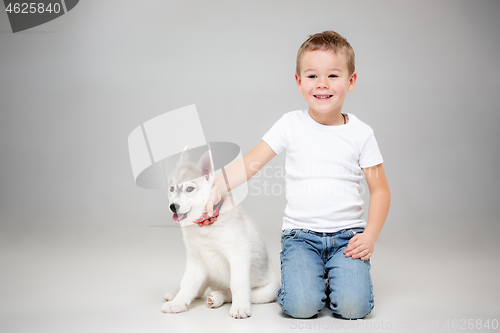 Image of Portrait of a joyful little boy having fun with siberian husky puppy on the floor at studio