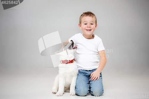 Image of Portrait of a joyful little boy having fun with siberian husky puppy on the floor at studio