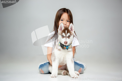 Image of Portrait of a joyful little girl having fun with siberian husky puppy on the floor at studio