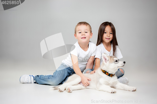 Image of Portrait of a joyful little girl and boy having fun with siberian husky puppy on the floor at studio