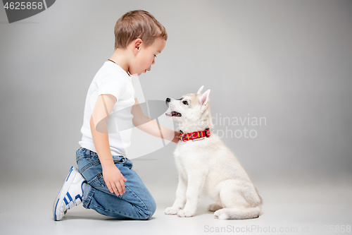 Image of Portrait of a joyful little boy having fun with siberian husky puppy on the floor at studio