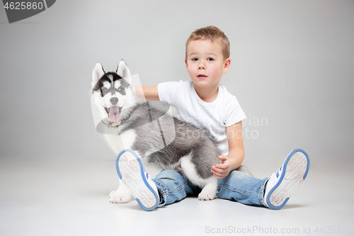 Image of Portrait of a joyful little boy having fun with siberian husky puppy on the floor at studio