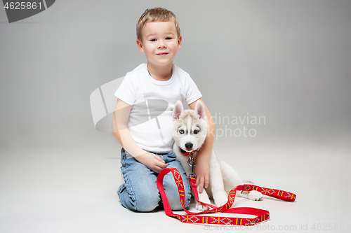 Image of Portrait of a joyful little boy having fun with siberian husky puppy on the floor at studio