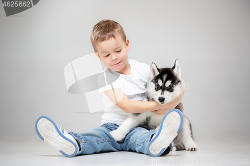 Image of Portrait of a joyful little boy having fun with siberian husky puppy on the floor at studio