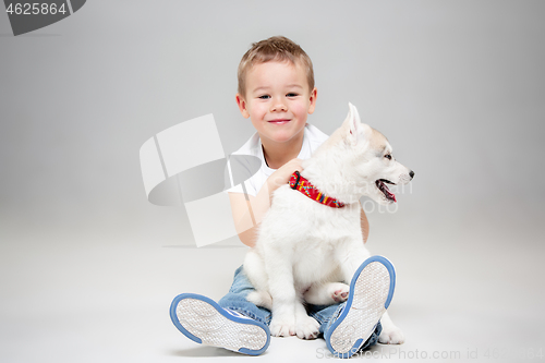 Image of Portrait of a joyful little boy having fun with siberian husky puppy on the floor at studio