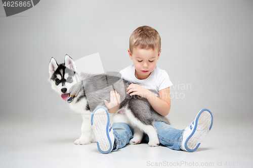 Image of Portrait of a joyful little boy having fun with siberian husky puppy on the floor at studio