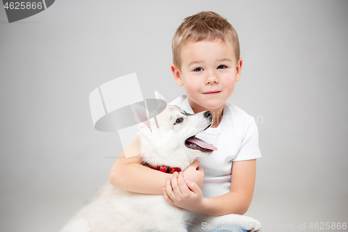 Image of Portrait of a joyful little boy having fun with siberian husky puppy on the floor at studio