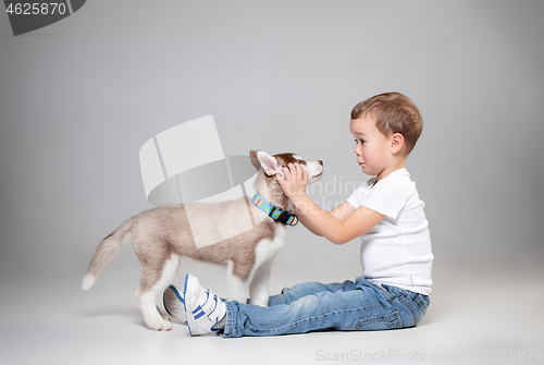 Image of Portrait of a joyful little boy having fun with siberian husky puppy on the floor at studio