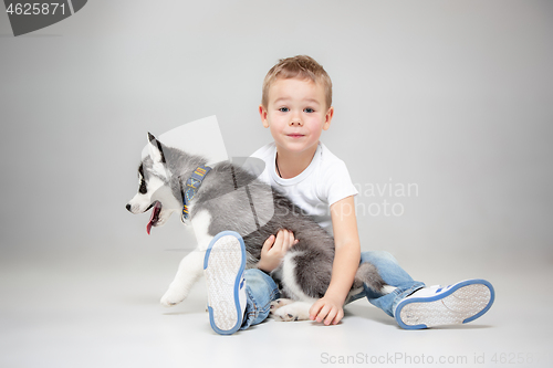 Image of Portrait of a joyful little boy having fun with siberian husky puppy on the floor at studio