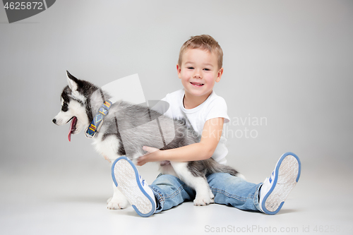 Image of Portrait of a joyful little boy having fun with siberian husky puppy on the floor at studio