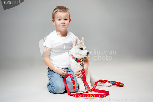 Image of Portrait of a joyful little boy having fun with siberian husky puppy on the floor at studio