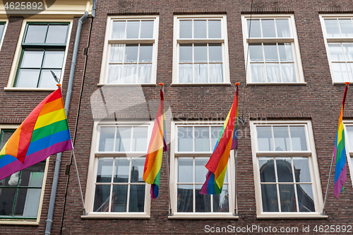 Image of Rainbow Flags